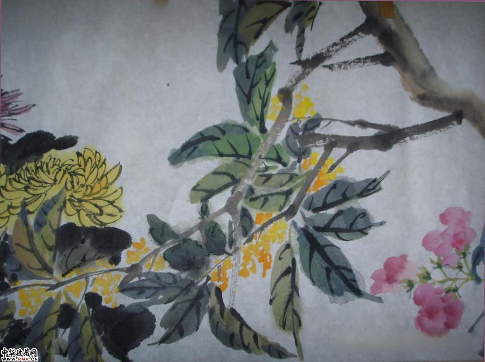 花鸟局部图