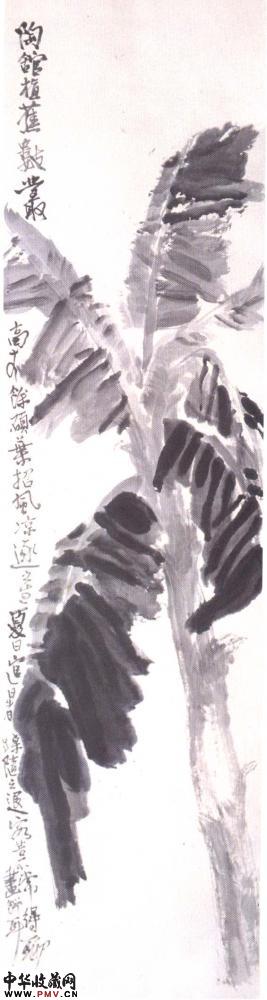 黎健“芭蕉”