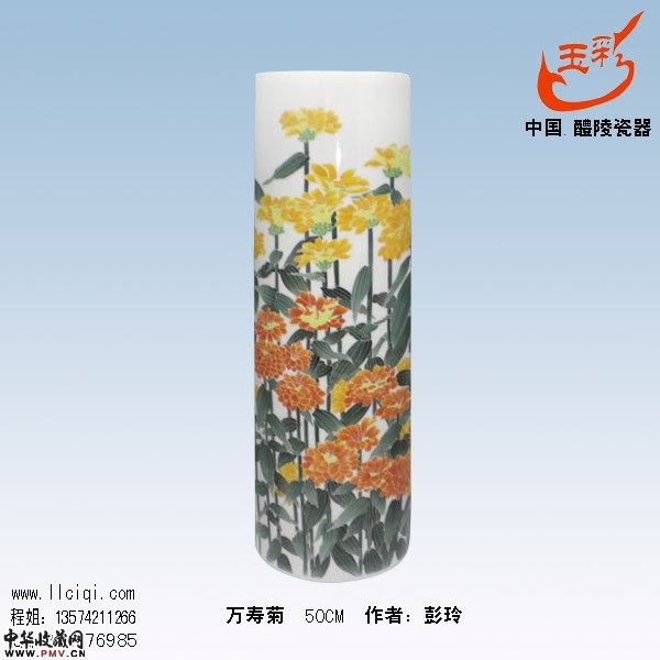 彭玲-万寿菊50CM