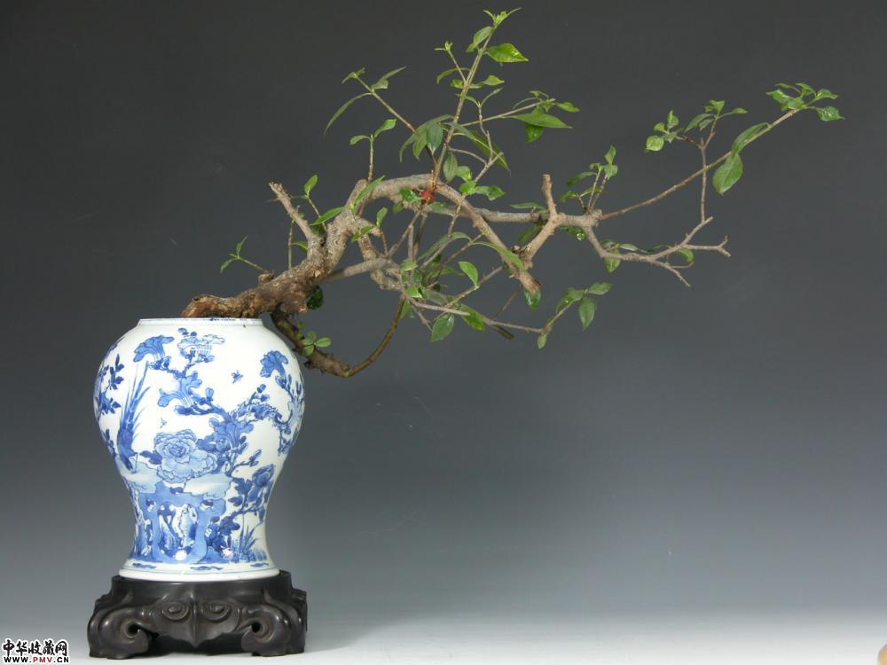 康熙青花觚(下装)