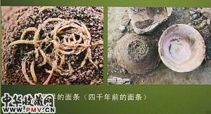 世界最早的面条 世界最早的面条