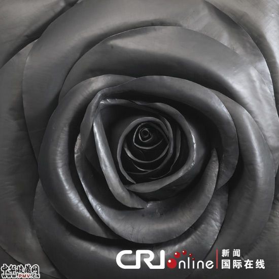 展览作品《玫瑰》。