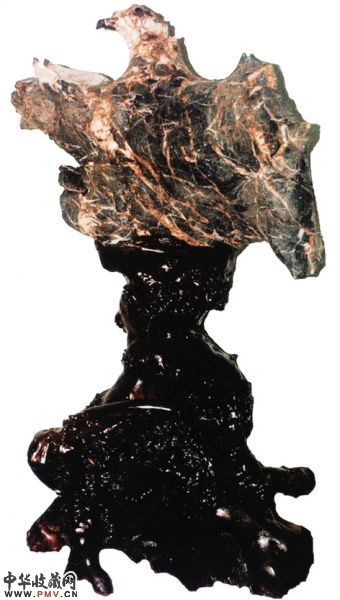 神鹰 钟�璐 摄