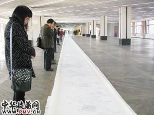 市民观百米长卷