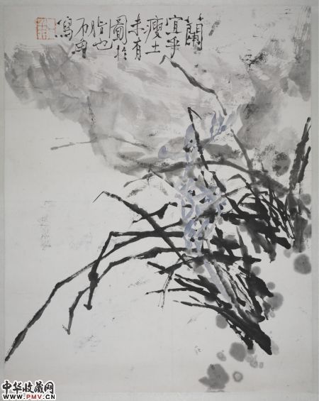 图片资料