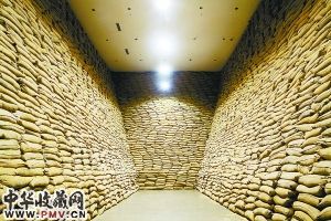 装置作品《“自在之物”》