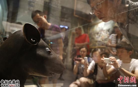 7月19日,游客被北京中国国家博物馆展出的圆明园兽首吸引。作为国博《复兴之路》基本陈列的一部分,法国皮诺家族捐赠的圆明园青铜鼠首兔首被放在展览的第二单元――“帝国主义列强对中国的侵略”部分与公众见面。
