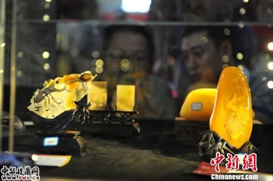 图为观众在观看获奖作品。 任东 摄