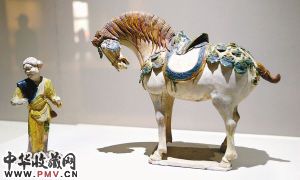 唐代三彩马及牵马俑记者 张宇明 摄