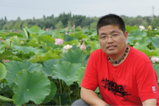 在五家渠莲池边
