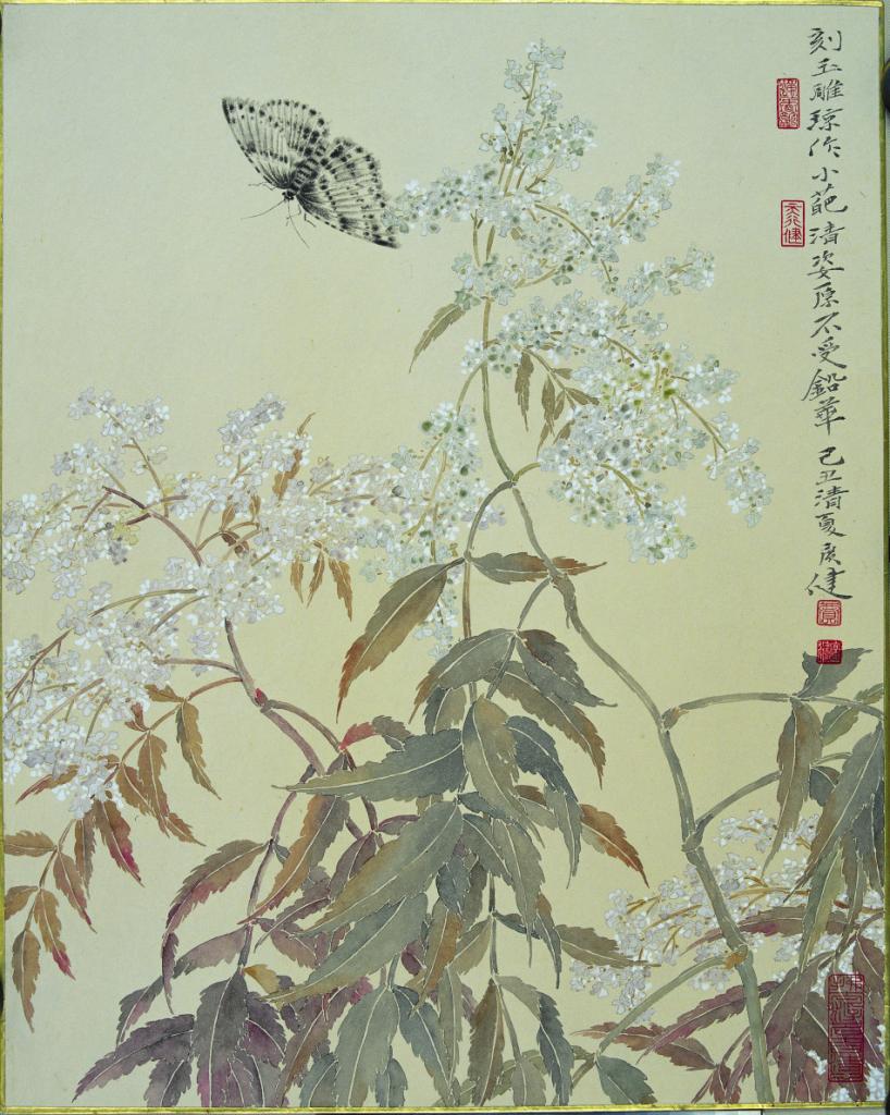 蝶舞 纸本设色