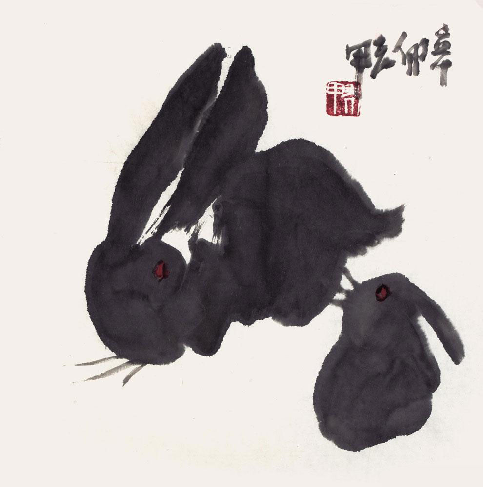 兔