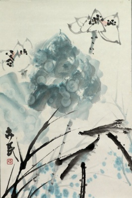 荷花