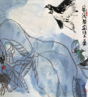 荷花鸽子