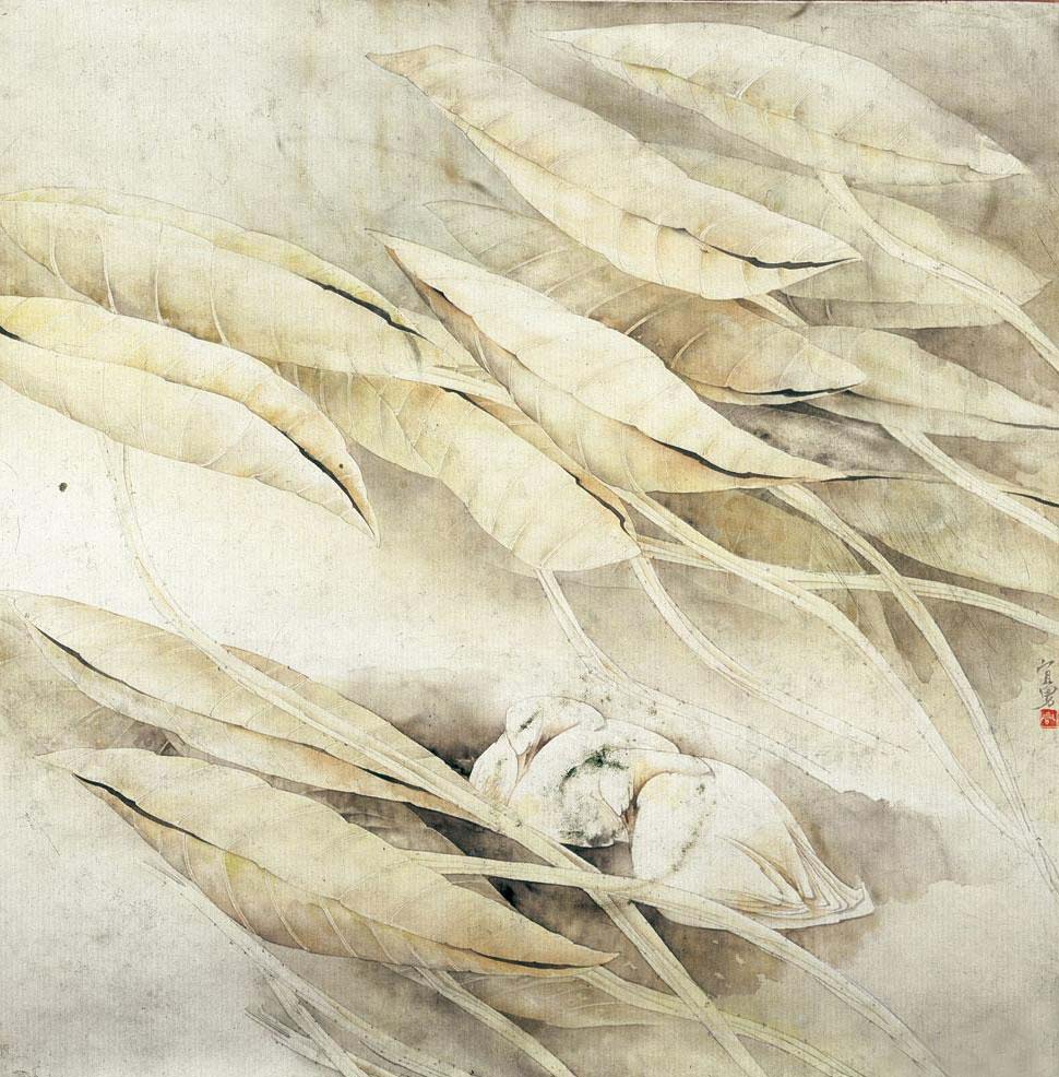 梦禾 