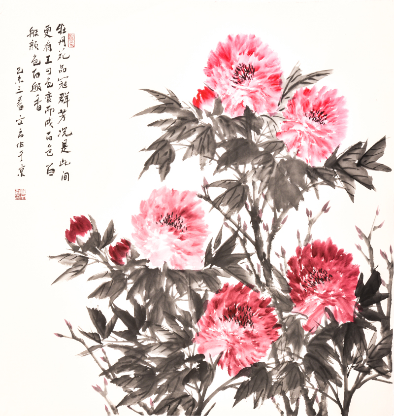 牡丹花品冠群芳 