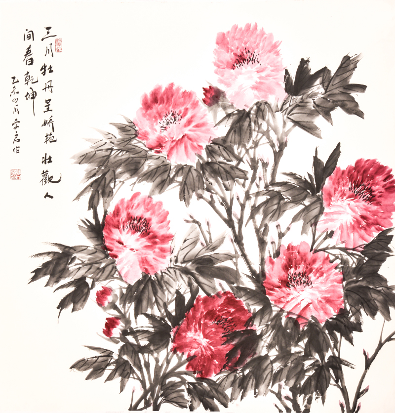 三月牡丹呈娇艳