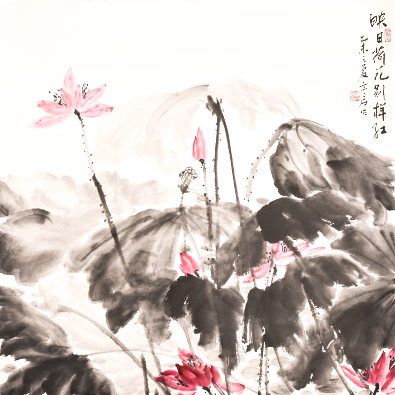 映日荷花别样红 