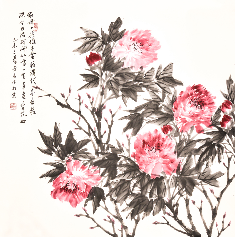牡丹一朵值千金 