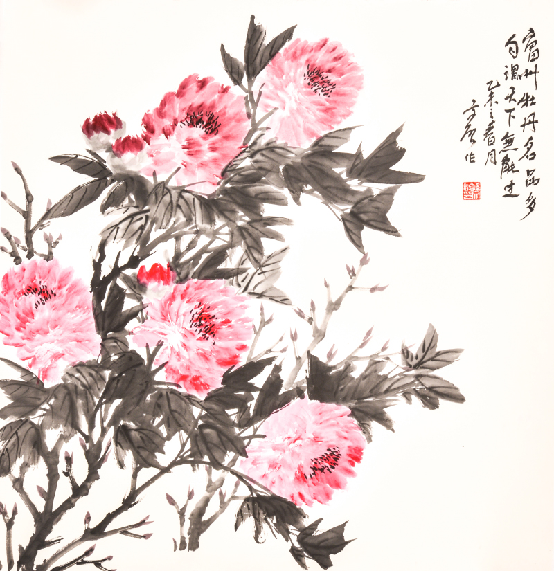 曹州牡丹名品多 