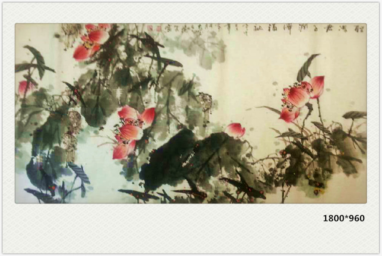 花鸟 (13)