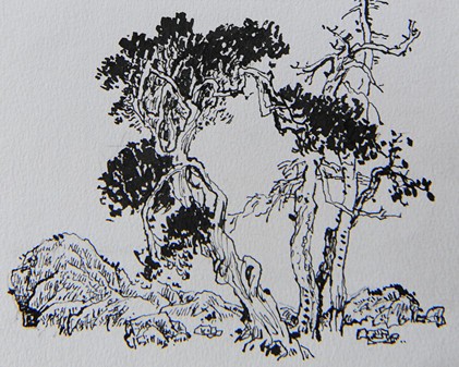 刘一笑写生作品11