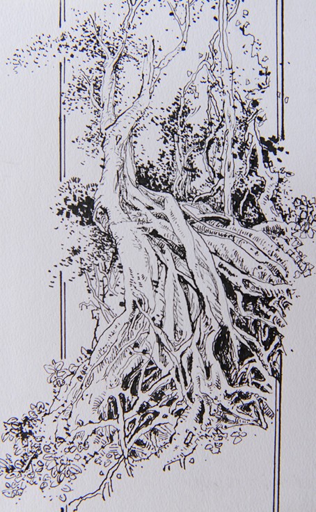 刘一笑写生作品5