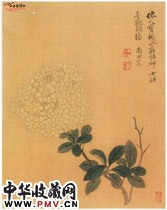 清恽寿平　花卉图册之荼蘼