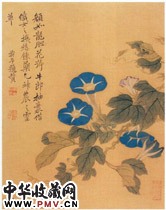 清恽寿平　花卉图册之牵牛花