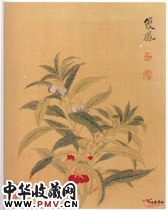 清恽寿平　花卉图册之凤仙