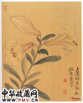 清恽寿平　花卉图册之山矾