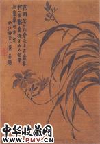 清金农　萱草图