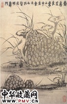 清金农　灵芝