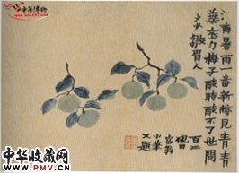 清金农    水果册 （一）