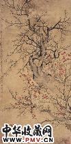 清钱杜 梅花