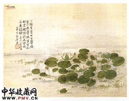 清居廉　睡莲