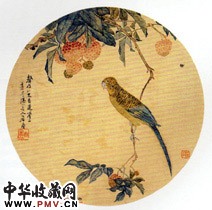 清居廉　红荔鹦鹉