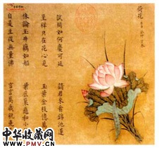 宋杨妹子　百画图卷