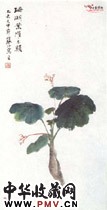近现代江寒汀　珊瑚叶