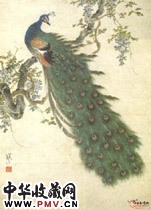 近现代江寒汀　孔雀图