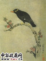 近现代江寒汀　梅花八哥