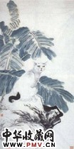 近现代江寒汀　白猫芭蕉