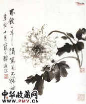 近现代江寒汀　黑牡丹