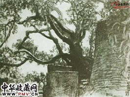 近现代徐悲鸿　风景速写