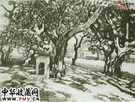 近现代徐悲鸿　风景速写