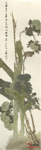 清任颐　芭蕉绣球