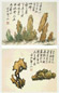 近代 徐世昌 奇石图(12开选2) 册页