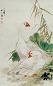 田世光 当代 白鹅芦苇图 轴