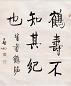 启功 书法 立轴 纸本