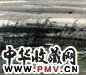 林风眠 夏夜荷塘 镜心 设色纸本